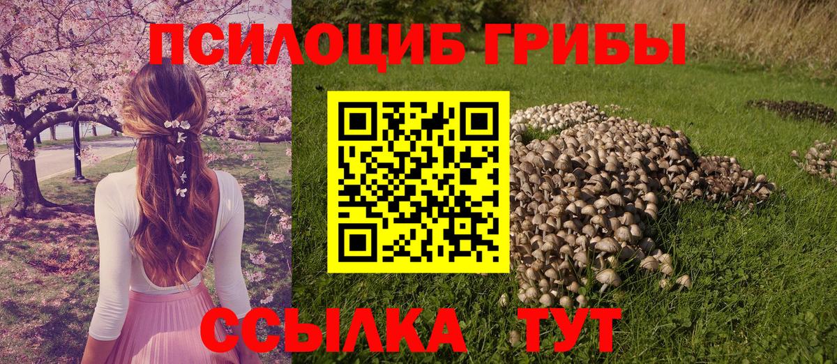 Псилоцибиновые грибы ЛСД  Вход с VPN  Люберцы 
